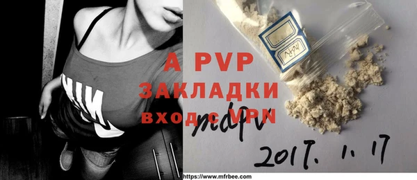 apvp Корсаков