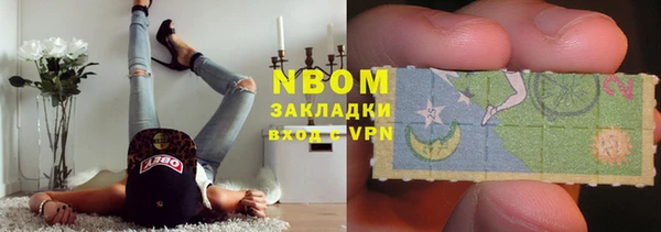 прущие грибы Краснотурьинск