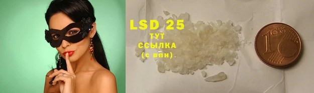 винт Козловка
