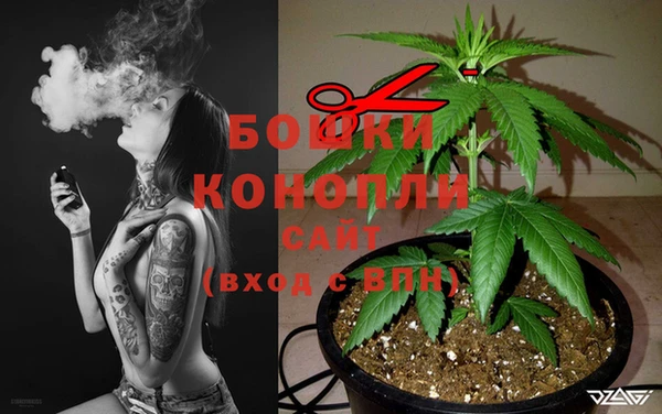 apvp Корсаков