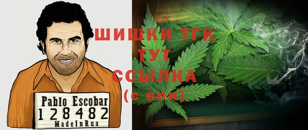 бошки Краснослободск