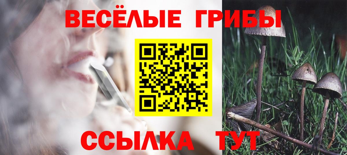 Псилоцибиновые грибы MAGIC MUSHROOMS  Вход с VPN  Псилоцибиновые грибы мицелий  Реж 